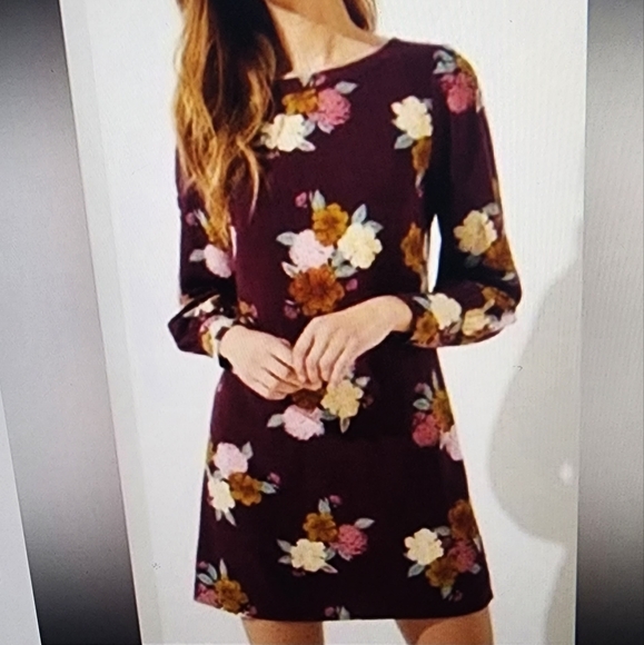 LOFT Dresses & Skirts - LOFT Dress Excellent Condition Size 0P